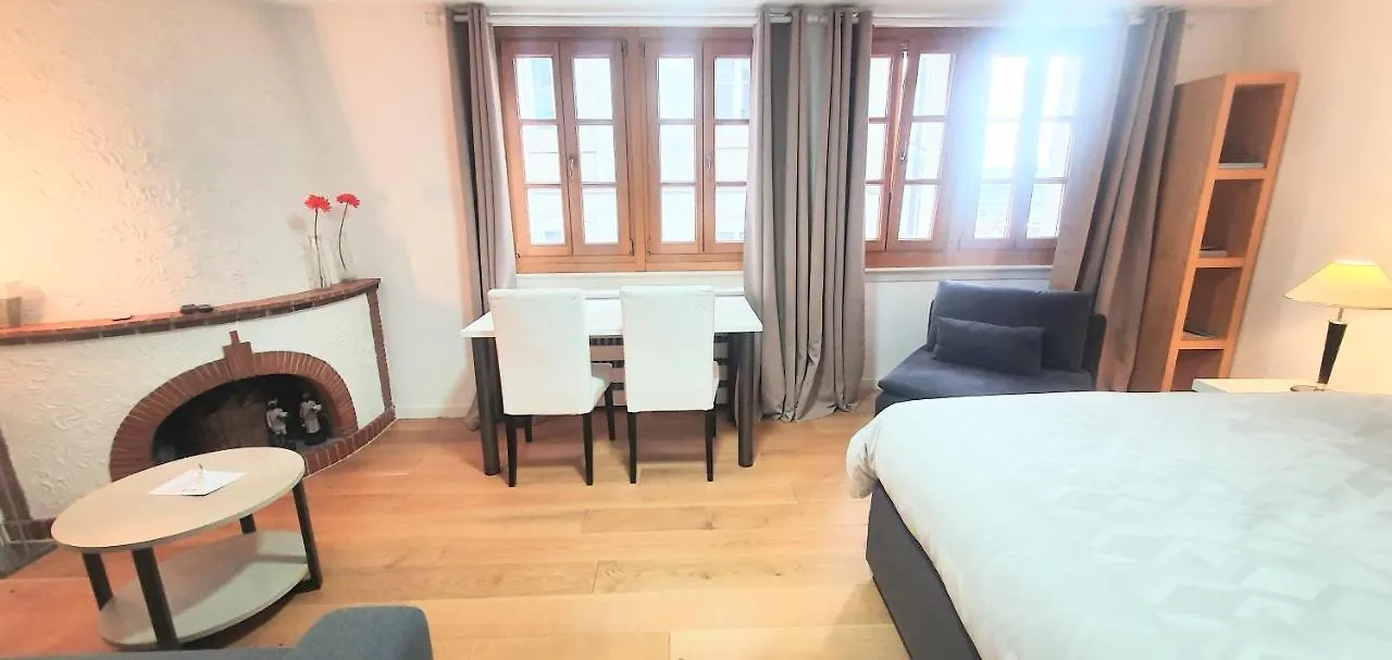 Boel 3 Studio Geneva Apartment